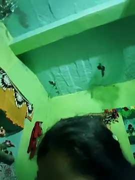 Punam panjabi online show from February 15, 2026, 6:32 am