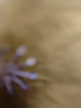 Snapshot of RASHMI_SHARMA9 chatting on February 16, 2026, 3:57 am RASHMI SHARMA9 online show from February 16, 2026, 3:57 am