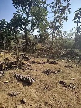 88zaifkhan88 online show from January 7, 2026, 4:48 am