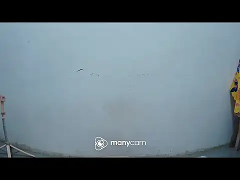 hottiemama69 online show from March 21, 2026, 8:23 pm