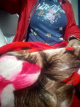 SassyDiy online show from January 13, 2026, 11:59 am