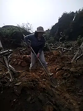 Alibabapi online show from March 26, 2026, 2:28 am