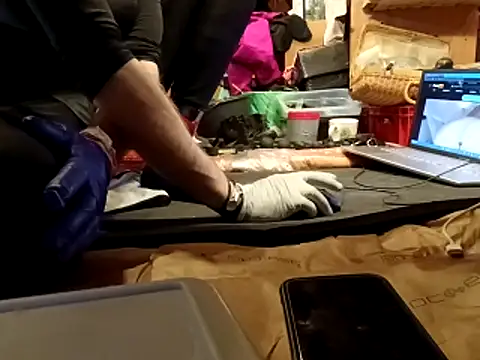 Snapshot of laaralatexxa_BDSM chatting on March 13, 2026, 4:08 am laaralatexxa BDSM online show from March 13, 2026, 4:08 am