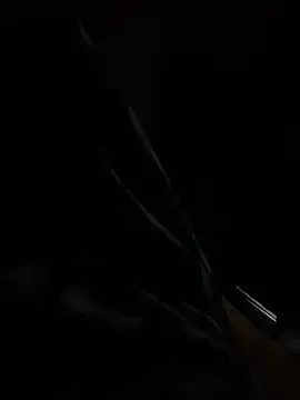 Snapshot of hot8veera chatting on December 2, 2025, 12:32 pm hot8veera online show from December 2, 2025, 12:32 pm