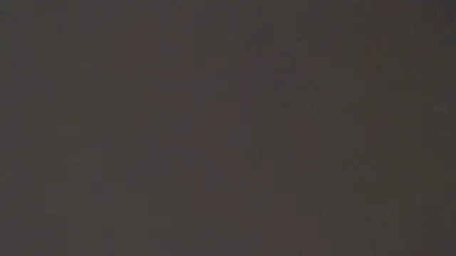 maxI dick33 online show from April 15, 2026, 11:05 pm