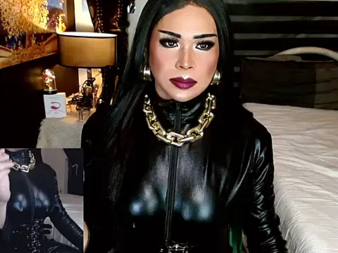 Snapshot of sheenavi chatting on February 17, 2026, 4:57 pm sheenavi online show from February 17, 2026, 4:57 pm