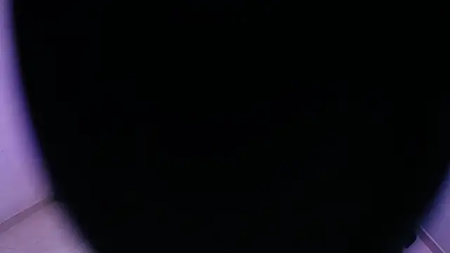 Snapshot of Sofia_tgn chatting on June 8, 2026, 6:41 pm Sofia tgn online show from June 8, 2026, 6:41 pm
