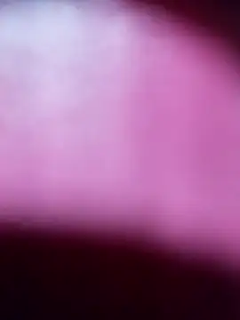 Myrelahot online show from March 21, 2026, 12:37 am