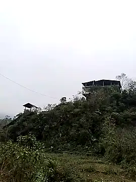 Snapshot of neko-nancy chatting on January 7, 2026, 7:55 am neko-nancy online show from January 7, 2026, 7:55 am