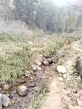 Snapshot of neko-nancy chatting on January 14, 2026, 2:50 am neko-nancy online show from January 14, 2026, 2:50 am