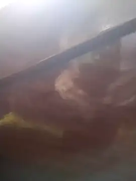 Snapshot of neko-nancy chatting on February 13, 2026, 2:24 pm neko-nancy online show from February 13, 2026, 2:24 pm