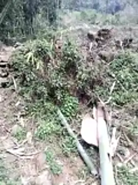 Snapshot of neko-nancy chatting on February 26, 2026, 7:07 am neko-nancy online show from February 26, 2026, 7:07 am