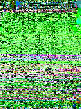 xiaoxiao-5200 online show from December 19, 2025, 4:52 am