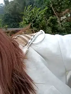 Chinchink2 online show from December 15, 2025, 4:17 am