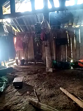 Snapshot of little-effy chatting on March 23, 2026, 4:27 am little-effy online show from March 23, 2026, 4:27 am