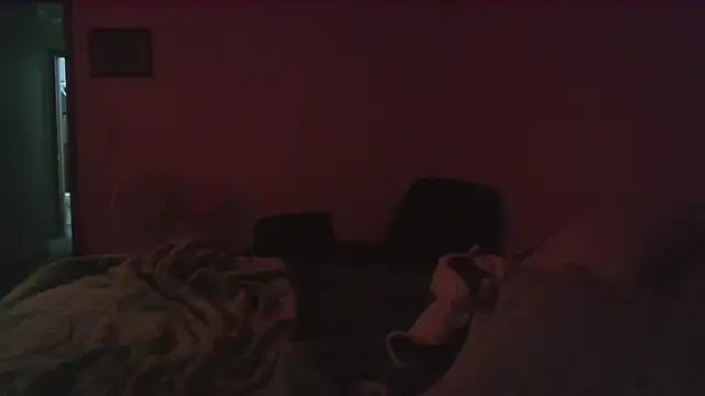 Snapshot of dixielover1229 chatting on December 16, 2025, 4:06 am dixielover1229 online show from December 16, 2025, 4:06 am