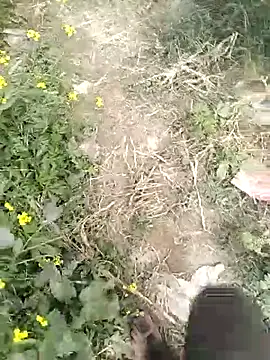 mohit08desi online show from January 19, 2026, 9:24 am