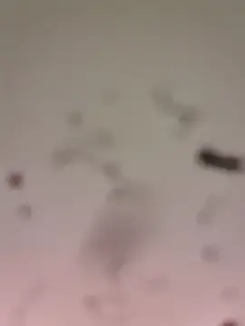 M8ygcthf3 online show from March 22, 2026, 6:50 am