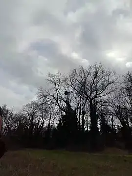 Sacha Scorp online show from February 7, 2026, 2:21 pm