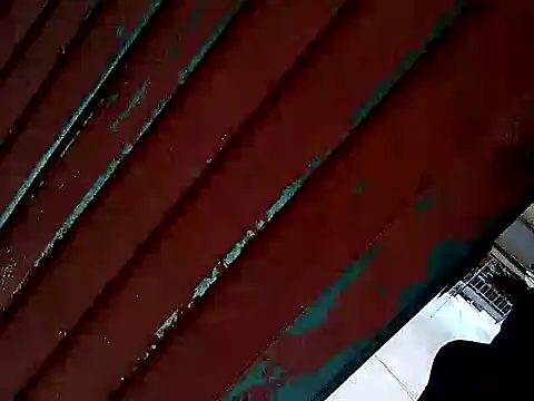 Snapshot of Richarlisot chatting on January 12, 2026, 2:00 pm Richarlisot online show from January 12, 2026, 2:00 pm