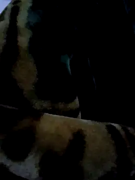 aman4404 online show from January 6, 2026, 10:30 am