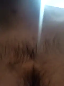 bnglrboy0886 online show from February 7, 2026, 12:14 am