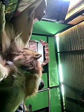 Fixvyusv online show from January 12, 2026, 5:12 am