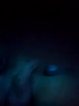 norvisito online show from December 19, 2025, 6:20 am