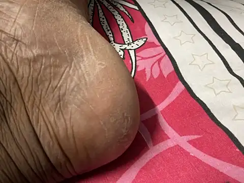 delhi real bull online show from December 17, 2025, 4:24 pm