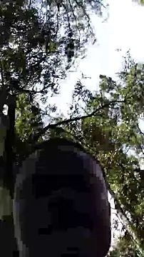 TheVersCouple online show from January 15, 2026, 11:26 am