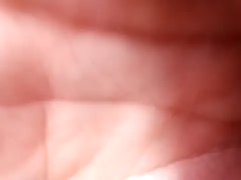 mellzinhacasada online show from February 16, 2026, 4:58 pm