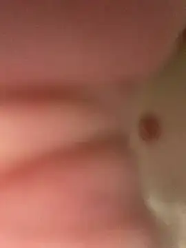 heath82841 online show from February 11, 2026, 11:48 am