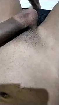 Novinhoie online show from April 12, 2026, 7:08 pm