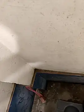 good7685 online show from December 21, 2025, 6:04 pm