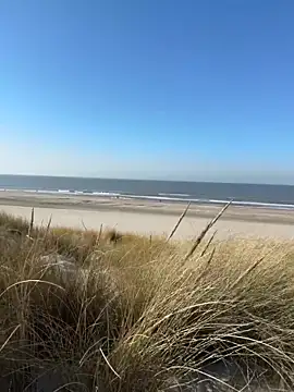 friemeldepiemel online show from March 5, 2026, 1:18 pm