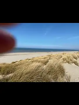 friemeldepiemel online show from March 19, 2026, 12:31 pm