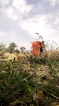 hornycouple20000 online show from March 19, 2026, 6:50 am