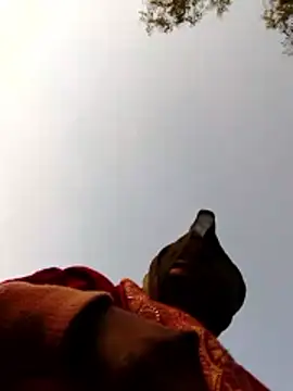 Jyoti sekh online show from February 10, 2026, 2:04 am