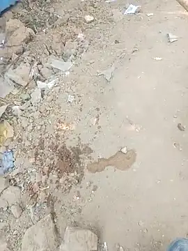 Gauri  Dhar online show from January 17, 2026, 7:13 am