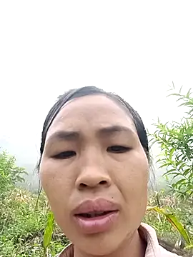 xiaogoal online show from July 22, 2026, 2:36 am