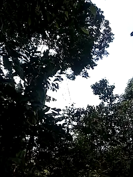 him220 online show from March 2, 2026, 6:58 am