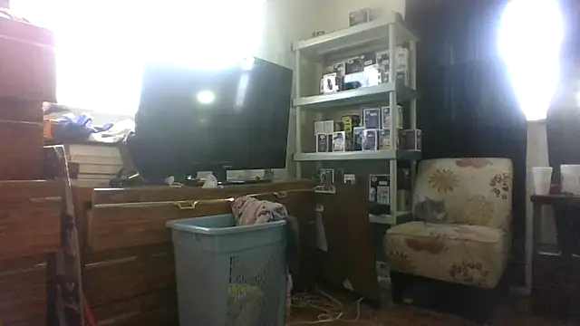 Snapshot of AcademicHuman67 chatting on February 10, 2026, 4:00 pm AcademicHuman67 online show from February 10, 2026, 4:00 pm