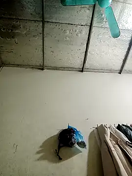 Sana-vn online show from January 15, 2026, 1:48 pm