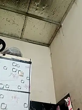 Sana-vn online show from March 1, 2026, 12:23 am