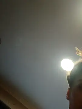 Snapshot of dear2002 chatting on January 17, 2026, 6:18 am dear2002 online show from January 17, 2026, 6:18 am