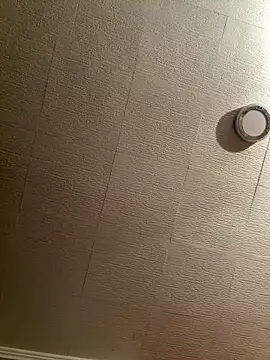 Evelin199 online show from February 8, 2026, 8:45 pm