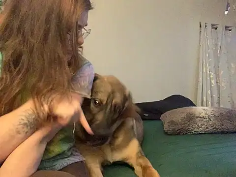 Snapshot of Intothewoodswego chatting on February 22, 2026, 1:29 am Intothewoodswego online show from February 22, 2026, 1:29 am