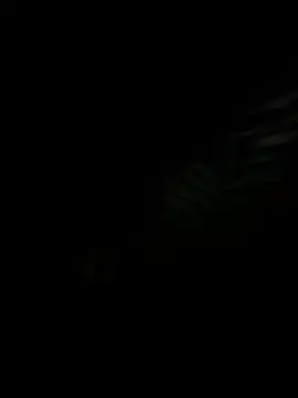 GraszkIgraszka69 online show from January 17, 2026, 4:00 pm