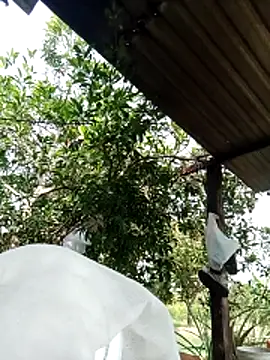 -Nicole-e online show from February 10, 2026, 7:12 am