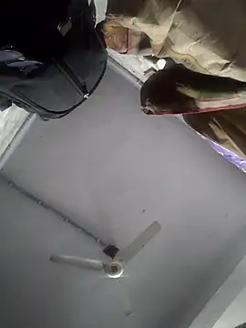 HadDrawers online show from February 5, 2026, 7:35 am